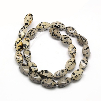 Natural Twist Dalmatian Jasper Beads Strands