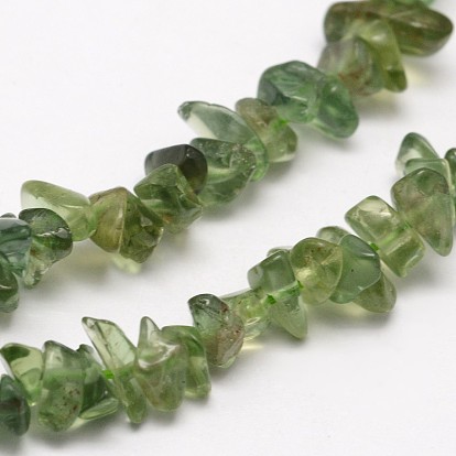 Chips Natural Green Apatite Beads Strands, 3~8x3~12x3~5mm, Hole: 1mm, about 16 inch
