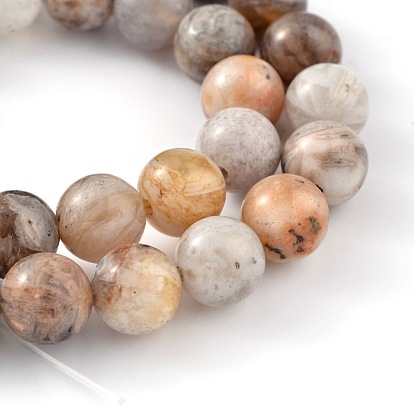 Natural Bamboo Leaf Agate Round Beads Strands
