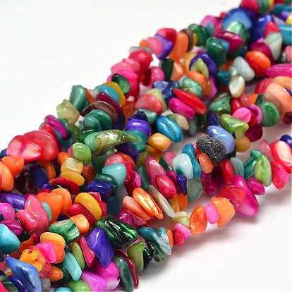 Natural Chip Dyed Shell Bead Strands, Shell Shards