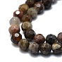 Natural Petrified Wood Beads Strands, Round, Faceted