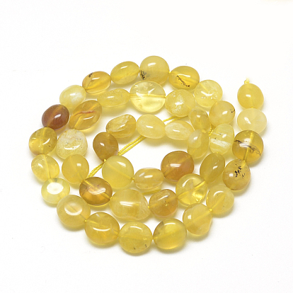 Natural Yellow Opal Beads Strands, Oval