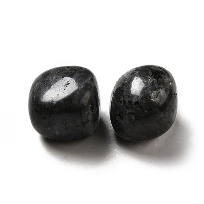 Perles de larvikite naturelles, pierre tombée, pierres de guérison, pour les cristaux de guérison reiki équilibrage des chakras, gemmes de remplissage de vase, pas de trous / non percés, nuggets