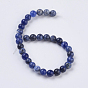 Natural Sodalite Beads Strands, Round, Midnight Blue