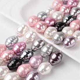 Оболочки нити шарик перлы, класс А, баррель, 23x17 мм, отверстие : 1 мм, около 17 шт / нитка, 15.15 дюйм
