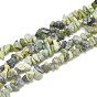 Natural Serpentine Beads Strands, Chip