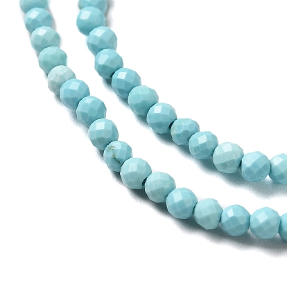 Natural Howlite Beads Strands, Dyed, Faceted, Round