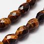 Natural Tiger Eye Beads Strands, Grade A, Faceted, Drum Bead