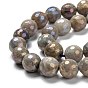 Natural Labradorite Beads Strands, Round, Rainbow Plated, Faceted