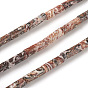 Natural Leopard Skin Jasper Beads Strands, Column