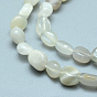 Natural Grey Moonstone Beads Strands, Tumbled Stone, Nuggets