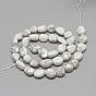 Natural Howlite Beads Strands, Oval