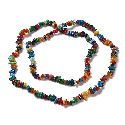 Natural Freshwater Shell Beads Strands, Chip
