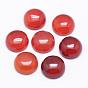 Natural Carnelian Cabochons, Half Round/Dome