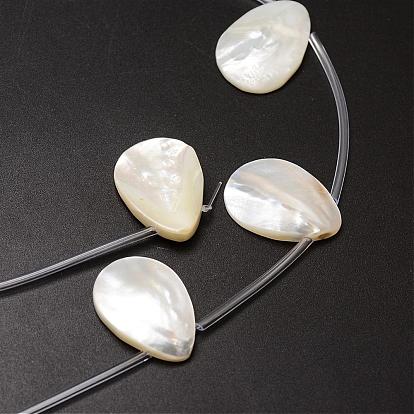 Natural Trochid Shell/Trochus Shell Beads Strands, Top Drilled Beads, Teardrop, 25x18x3~5mm, Hole: 1mm, about 10pcs/strand, 14.96 inch