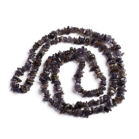 Natural Iolite Beads Strands, Chip