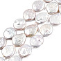 Brins de perles de keshi perle baroque naturelle ronde plate, perle de culture d'eau douce, 17~19x3~8mm, Trou: 0.8mm, Environ 20 pcs/chapelet, 14.9 pouce