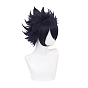 Short Anime Cosplay Wigs, Synthetic  Hero Spiky Wigs for Makeup Costume, with Bang, Indigo