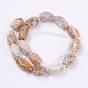 Natural Fossil Coral Beads Strands, Faceted, Oval