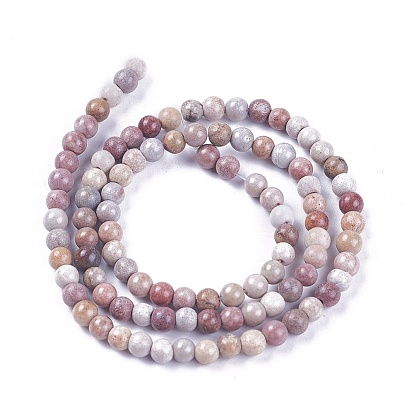Natural Fossil Coral Beads Strands, Dyed, Round