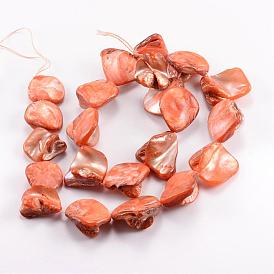Natural Sea Shell Beads, Irregular
