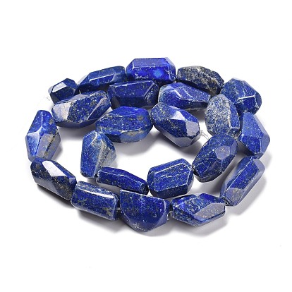 Natural Lapis Lazuli Beads Strands, Mixed Shapes