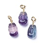 Carved Natural Fluorite Pendants, with Brass Spring Ring Clasps, Long-Lasting Plated, Pi Xiu