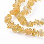 Natural Citrine Beads Strands, Dyed, Chip