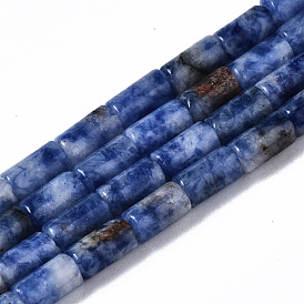 Natural Blue Spot Jasper Beads Strands, Column