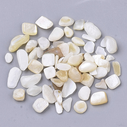 Perles de coquille d'eau douce, perles non percées / sans trou, puce
