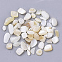 Freshwater Shell Beads, Undrilled/No Hole Beads, Chip
