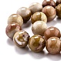 Petrificados perlas de madera hebras naturales, rondo