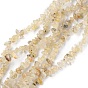 Oro naturales rutilated perlas de cuarzo hebras, chip