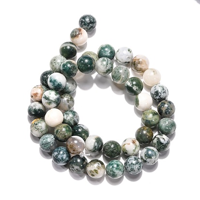 Natural Tree Agate Beads Strands,  Round