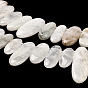 Natural Moonstone Beads Strands, Top Drilled, Oval Charms