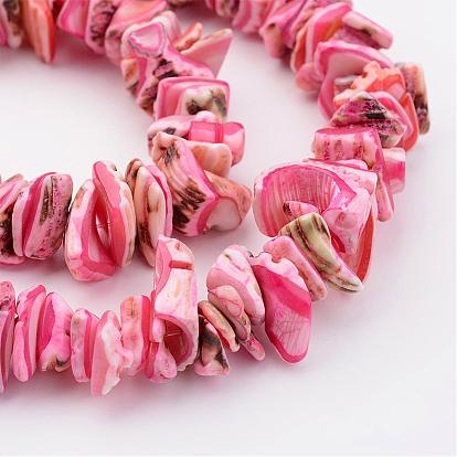 Natural Shell Bead Strands, Dyed, Nuggets