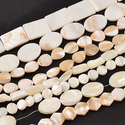 Brins de perles de coquille de mer de forme mixte naturelle, 8~20x8~15x3mm, Trou: 1mm, environ 15 pouces ~ 15.7 pouces