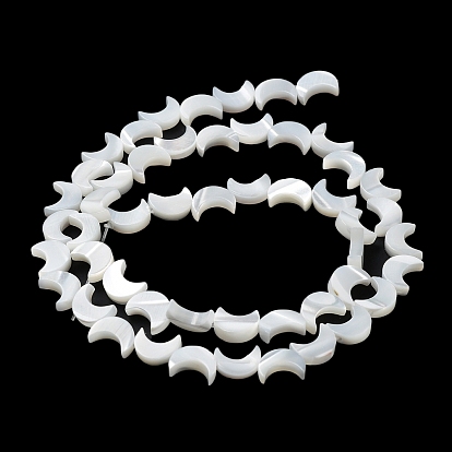Natural Trochus Shell Beads Strands, Moon