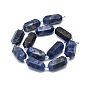 Natural Sodalite Beads Strands, Faceted, Double Terminated Pointed/Bullet