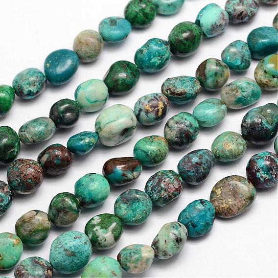 Naturelles chrysocolla perles brins, pierre tombée, nuggets, 11~14x10~11mm, Trou: 1mm, environ 15.74 pouce
