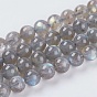 Natural Labradorite Beads Strands, Grade AA, Round