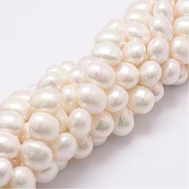 Shell brins perle de perles, Grade a, ovale