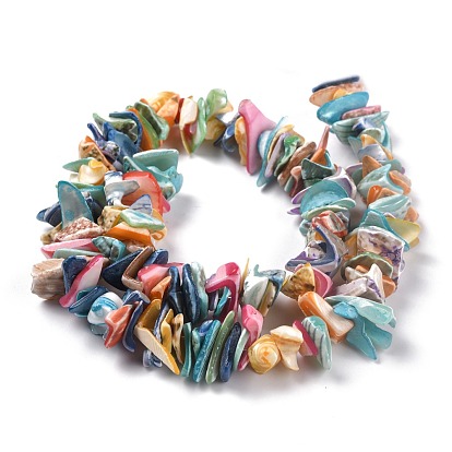 Natural Spiral Shell Beads, Chips
