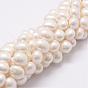 Shell Pearl Bead Strands, Grade A, Oval