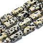 Natural Dalmatian Jasper Beads Strands, with Seed Beads, Faceted, Column