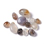 Perles d'agate dendritique naturelle, pierre tombée, gemmes de remplissage de vase, pas de trous / non percés, nuggets