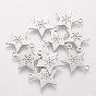 201 Stainless Steel Charms, Star with Snowflake Pattern
