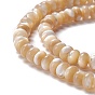 Natural Trochid Shell/Trochus Shell Beads Strands, Abacus Beads, Rondelle