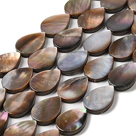 Natural Sea Shell Beads Strands, Teardrop