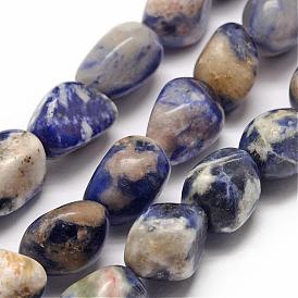 Sodalites naturelles brins de perles, nuggets